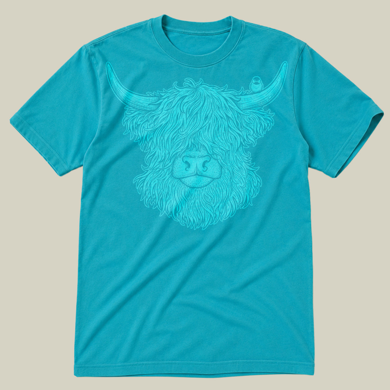 Highland Cow