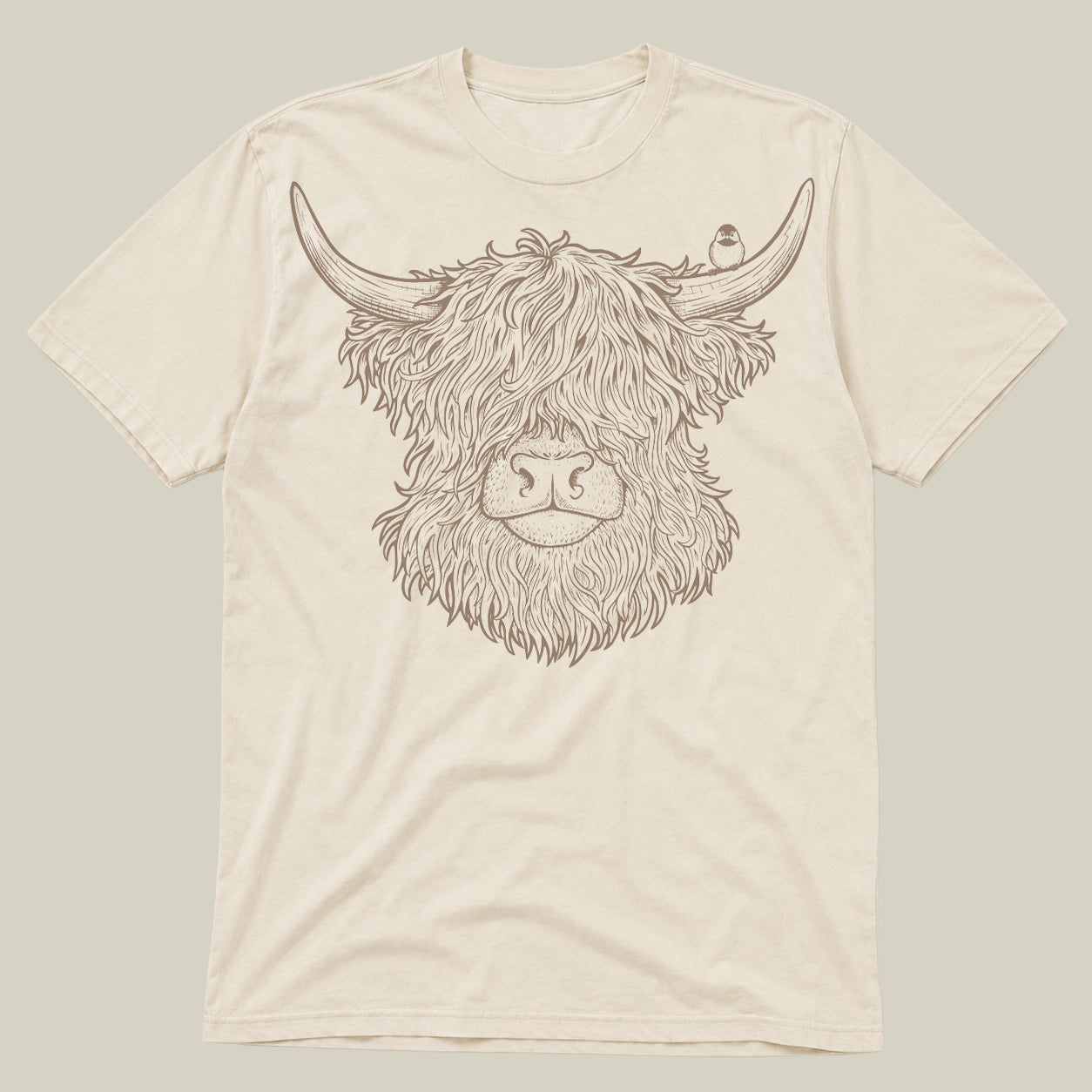 Highland Cow