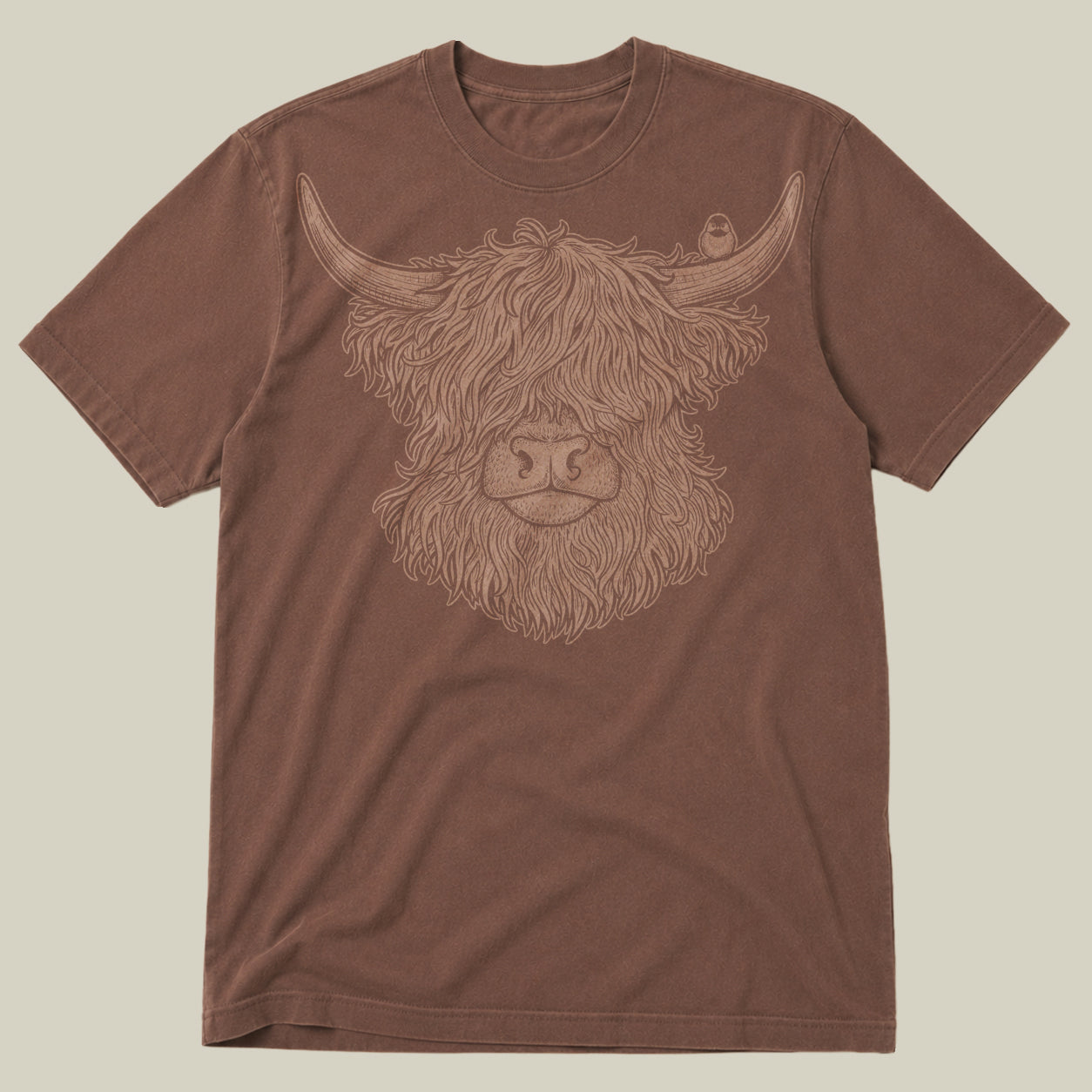 Highland Cow