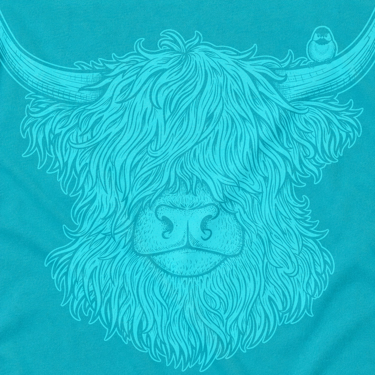 Highland Cow