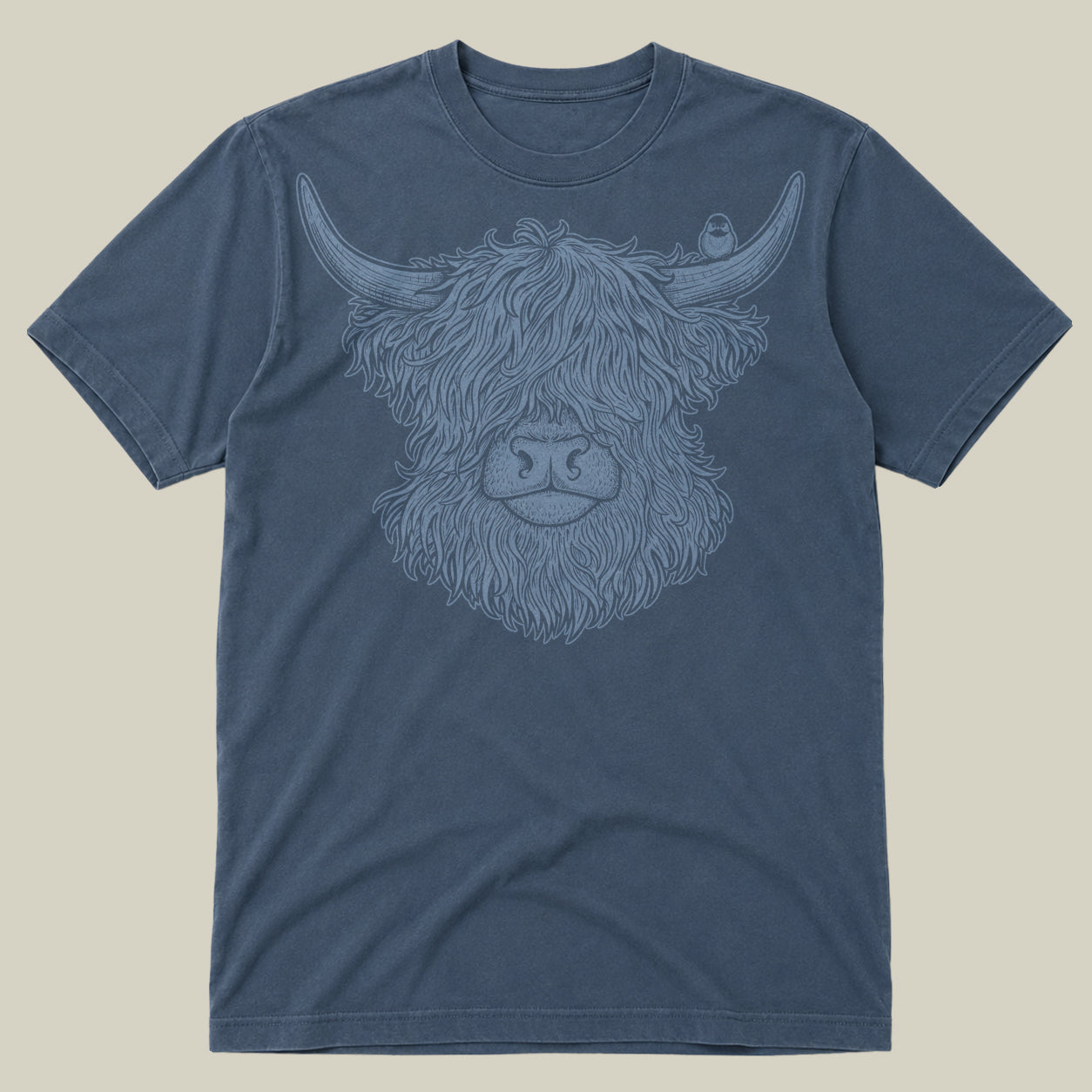 Highland Cow
