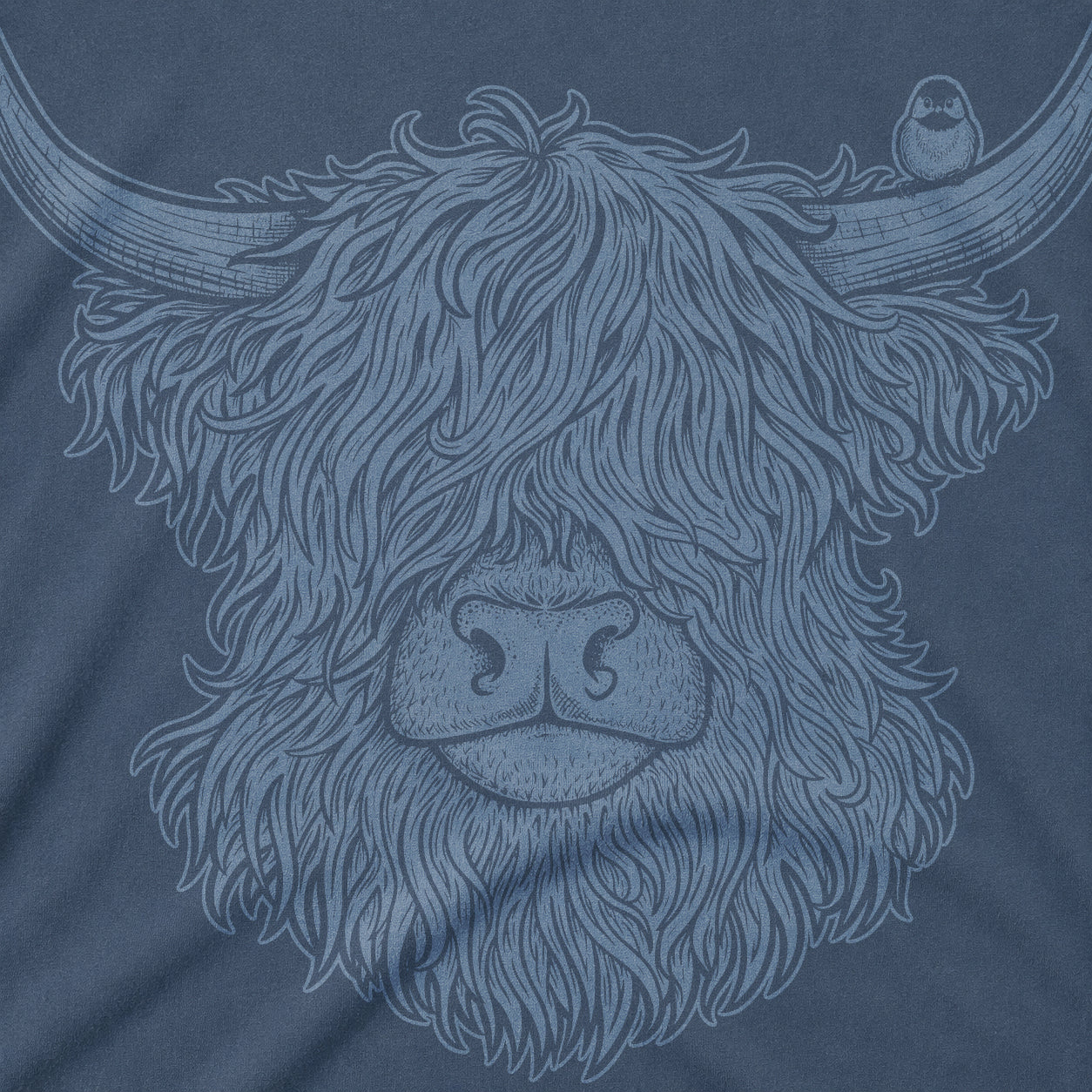 Highland Cow