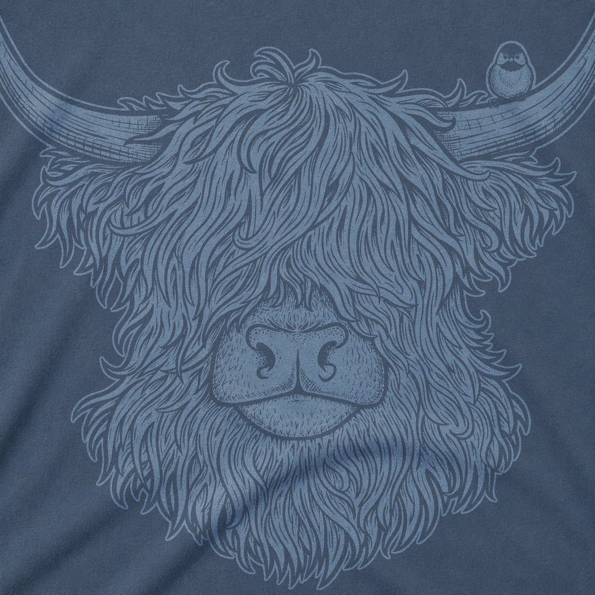 Highland Cow