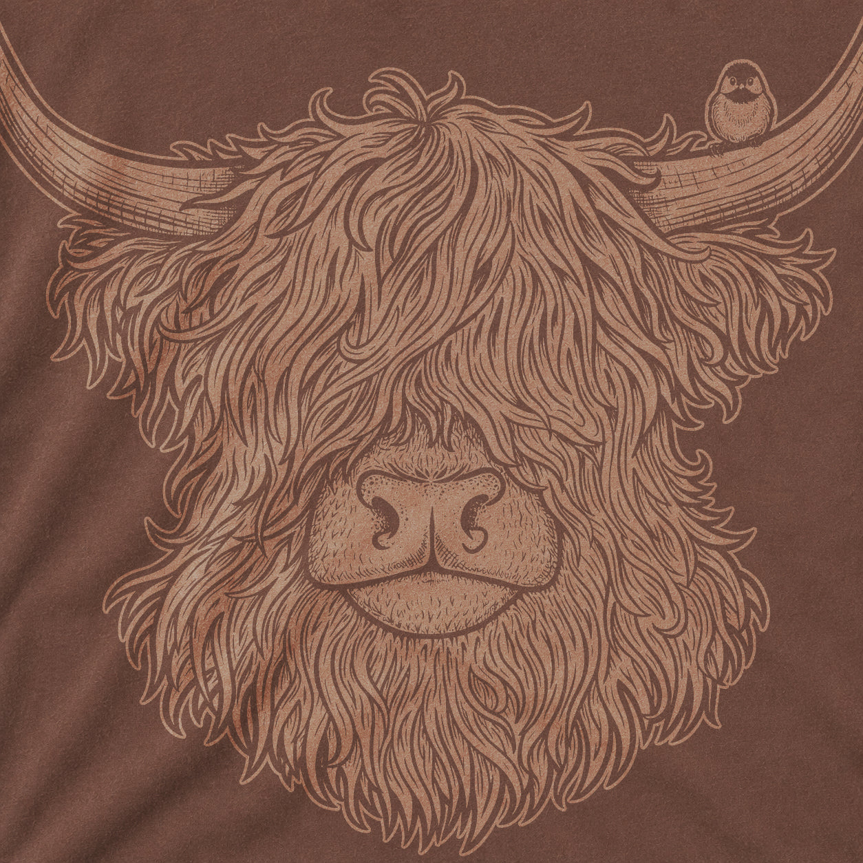 Highland Cow